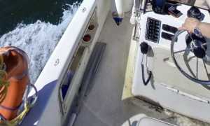 guardia costiera ausiliaria