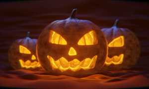 halloween zucche