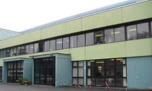 iis fermi arona ingresso