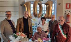 invorio 101 carolina ott 25