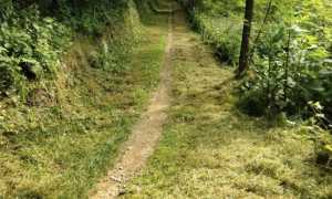 invorio aib sentiero ripulito giu 25