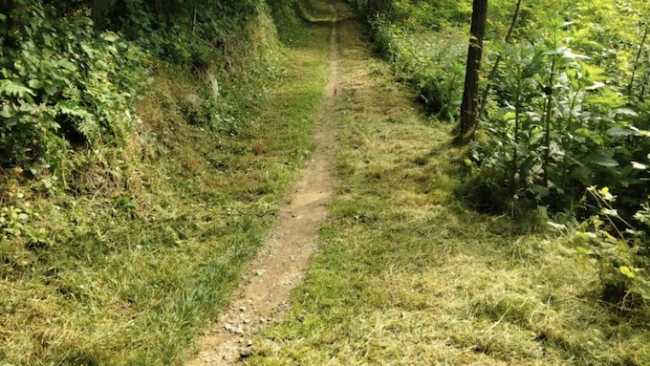 invorio aib sentiero ripulito giu 25