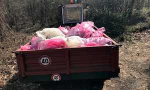 invorio giornata ecologica