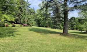 istituto bonfantini cavallini