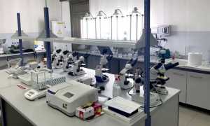 laboratorio scuole