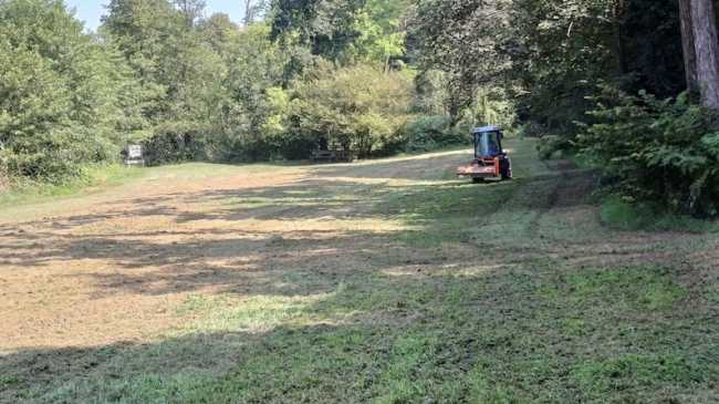 lagoni manutenzione 24