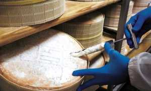 lavorazione gorgonzola