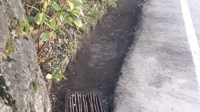 lesa caditoie pulizia