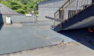 lesa cavallini interventi