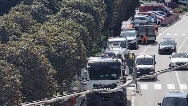 lesa illuminaz passaggi pedonali