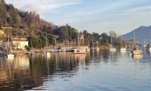 lesa lago