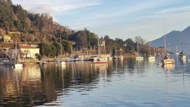 lesa lago