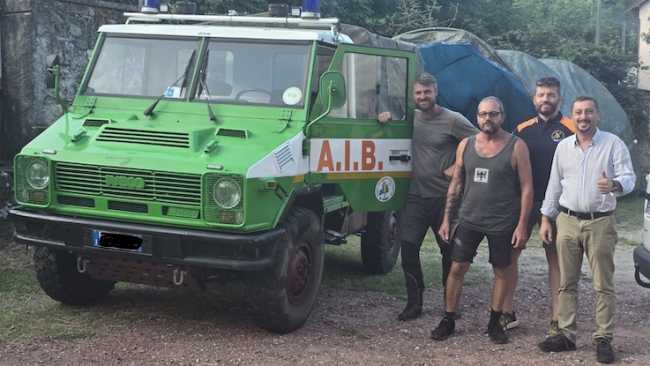 lesa mezzo aib