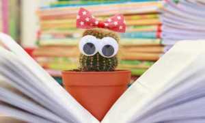 libro bimbi