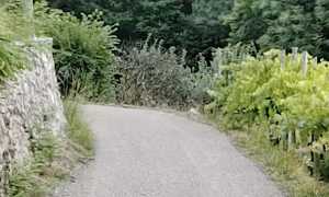 meina via basilio silvera