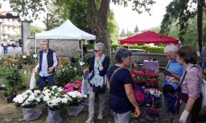 menta rosmarino sabato