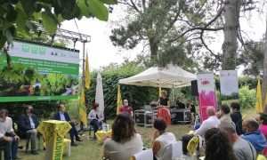 mezzomerico florovivaismo 2