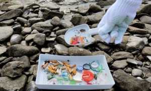 micro rifiuti spiagge Lesa 2