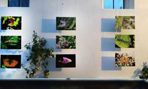 museo meina micro macro