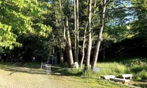 nebbiuno piazzale pic nic piante