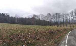 oleggio castello area agrivoltaico