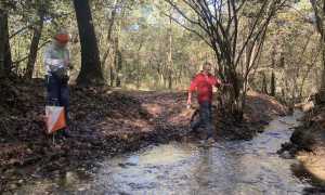 orientamento b ticino