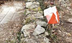 orienteering repertorio