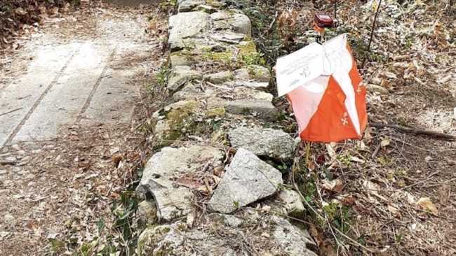 orienteering repertorio