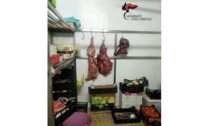 ortofrutta arona forestali