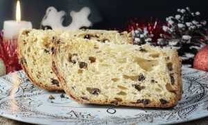panettone foto