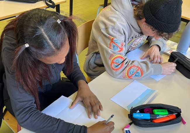 peer education Enaip arona