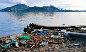 plastica lago rocca angera