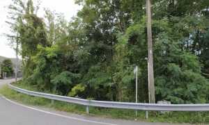 pombia don minzoni 2