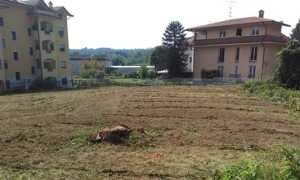 pulite aree aib