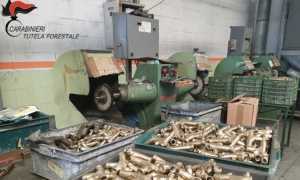 pulitura metalli sequestro