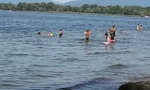puntaVevera arona