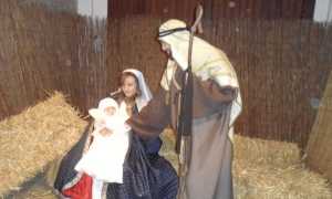 riviviamo ct archivio