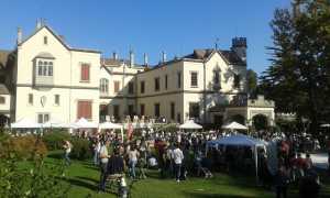 sapor festa 01