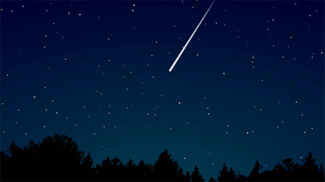 stella cadente copia