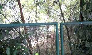 terreno arona 2