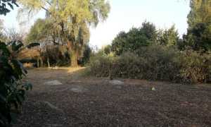 terreno pulito
