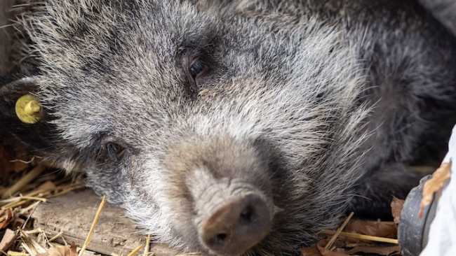 tina castelletto foto nuova