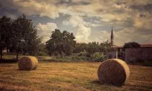 una foto vincitrice unpli