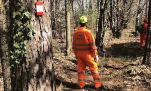 vp aib salamandra pulizia