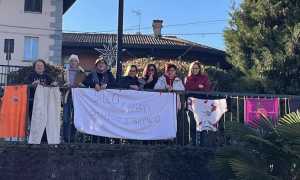 vp dillo chiaro nov 25