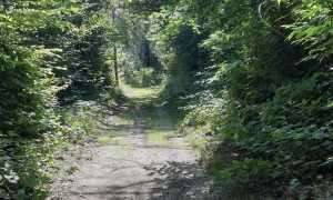 vp manutenzione campo dei fiori