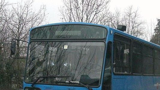 bus foto