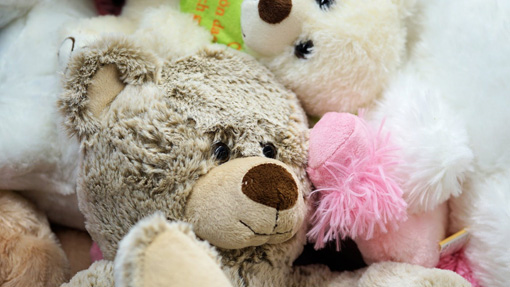 peluches foto
