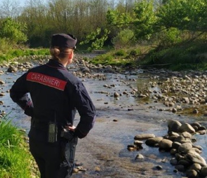 Turista vercellese aggredito da tre cani al parco della Burcina
