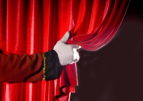 Viotti Festival: il programma a teatro